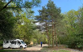 Nightjar Cabin At Cloudshill Glade